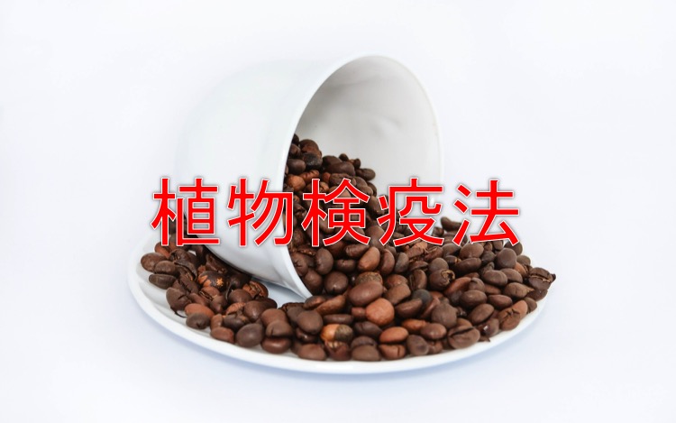 植物検疫法