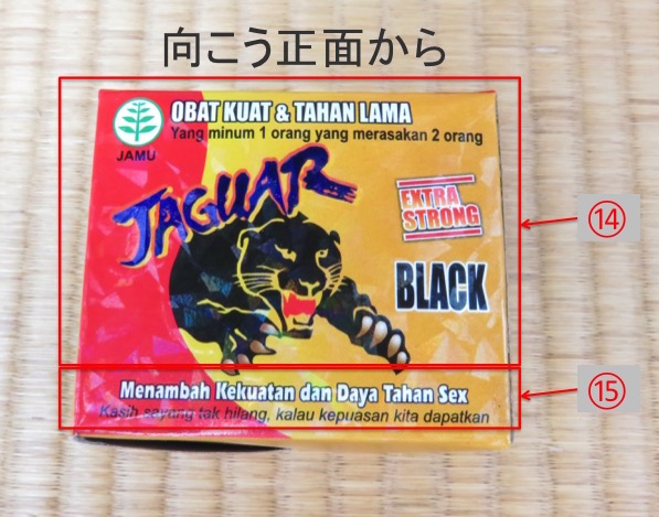 ジャガーブラック向こう正面から