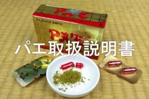 パエ取扱説明書