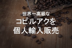 コピルアクを個人輸入販売する方法