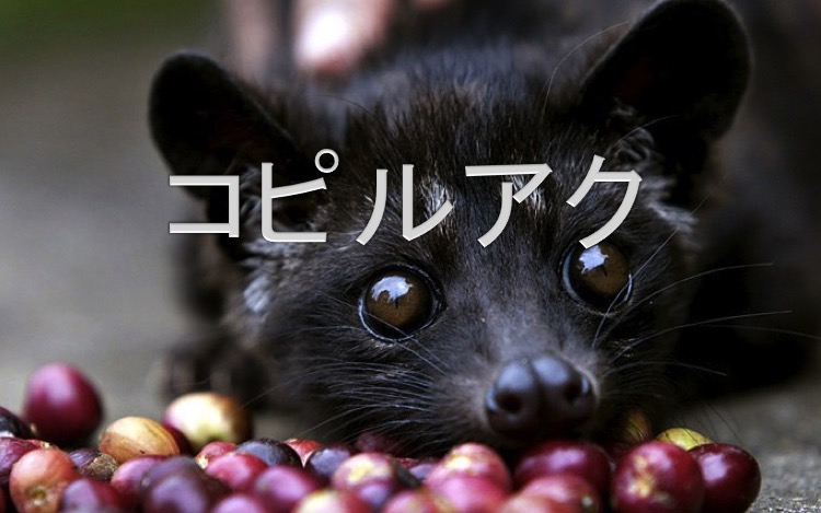コピルアク