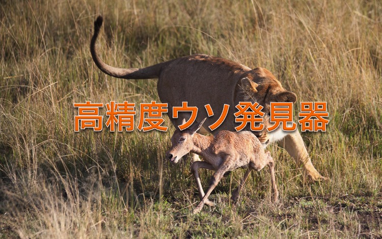 単身赴任浮気・高精度ウソ発見器