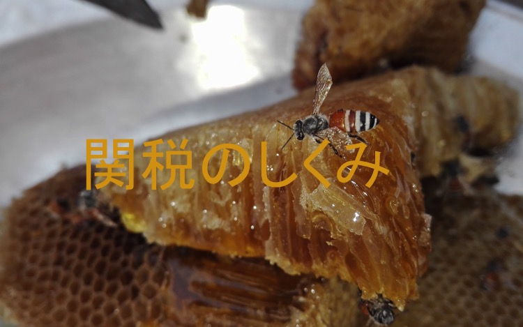 バリ島関税はちみつ2